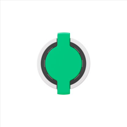 Copic Acrea Leaf Green Marker  <inline style="float: right; margin-right: 10px; background-color: rgb(0, 148, 103);">&nbsp;&nbsp;&nbsp;&nbsp;&nbsp;&nbsp; </inline>