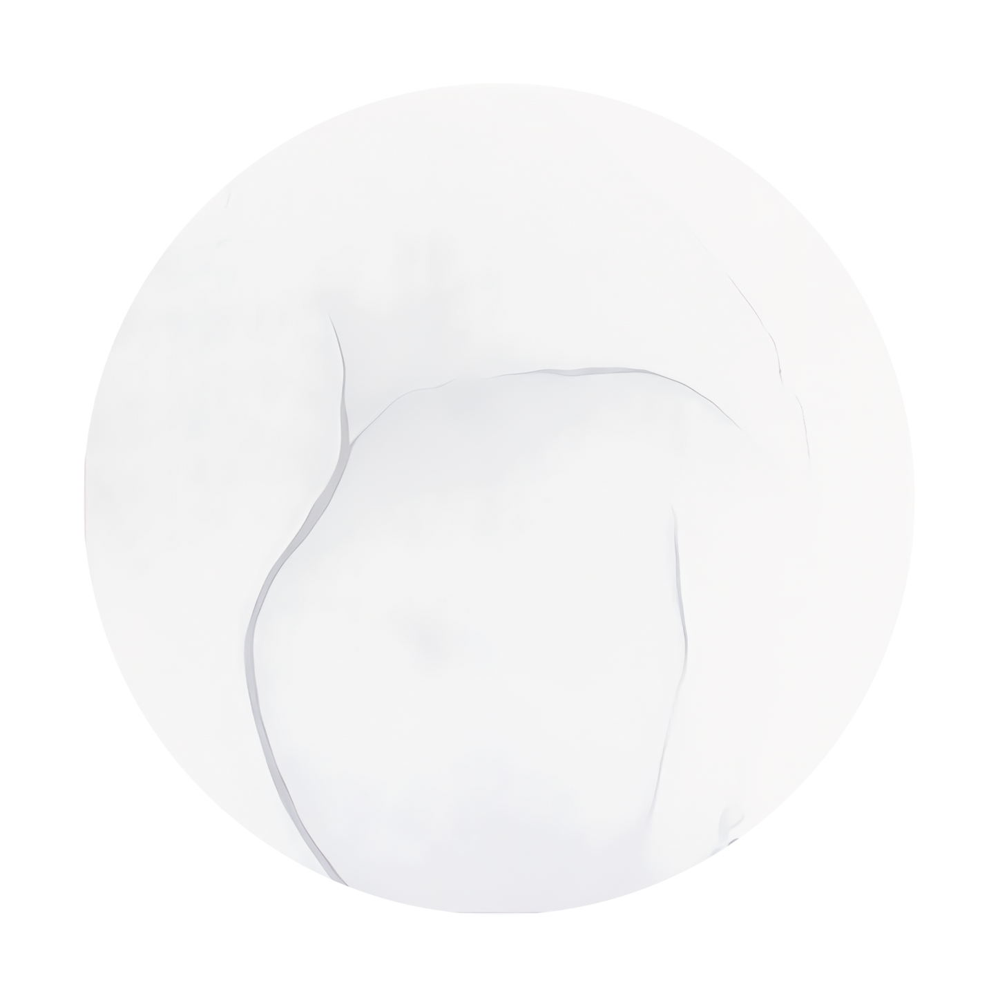 Copic Ink Refill C00 Cool Gray No. 00 <inline style="float: right; margin-right: 10px; background-color: rgb(226, 235, 242);">&nbsp;&nbsp;&nbsp;&nbsp;&nbsp;&nbsp; </inline>