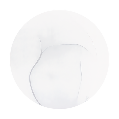 Copic Ink Refill C00 Cool Gray No. 00 <inline style="float: right; margin-right: 10px; background-color: rgb(226, 235, 242);">&nbsp;&nbsp;&nbsp;&nbsp;&nbsp;&nbsp; </inline>