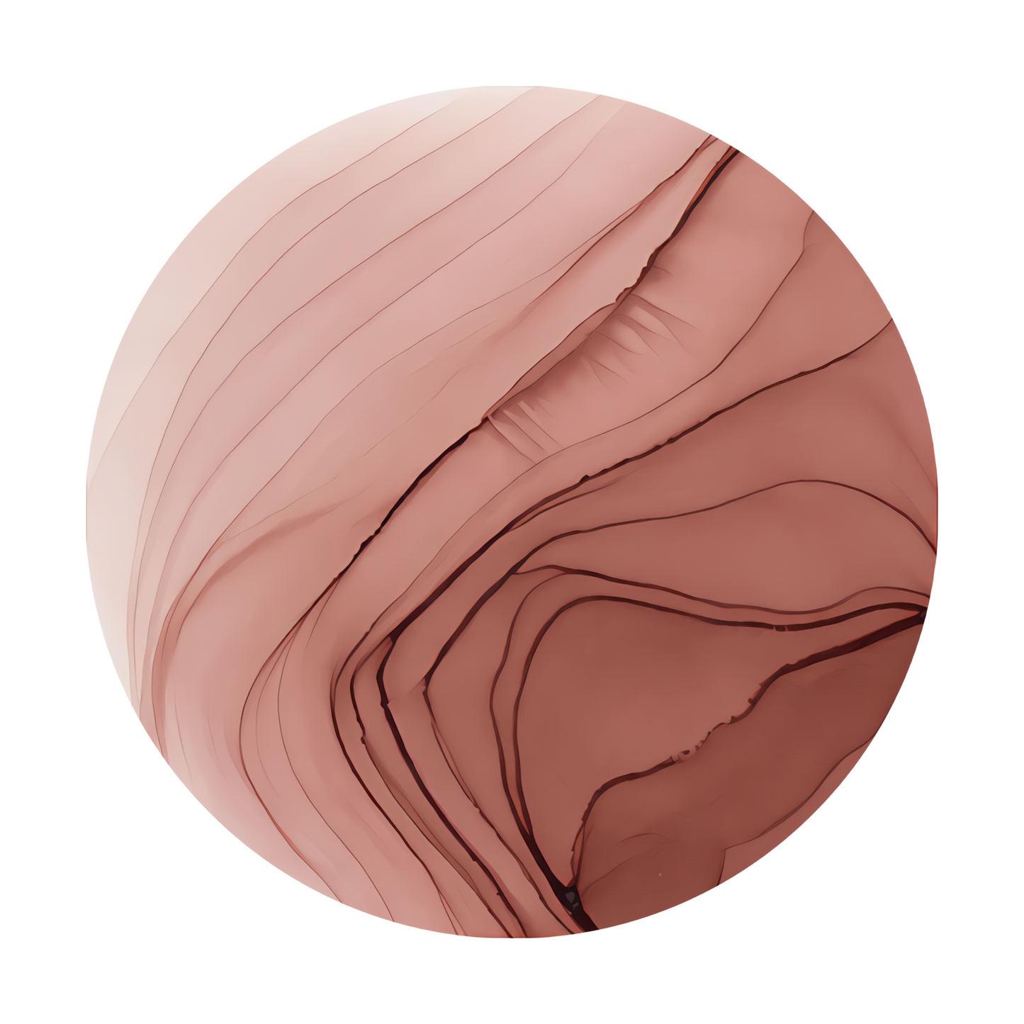 Copic Ink Refill E04 Lipstick Natural <inline style="float: right; margin-right: 10px; background-color: rgb(225, 185, 193);">&nbsp;&nbsp;&nbsp;&nbsp;&nbsp;&nbsp; </inline>