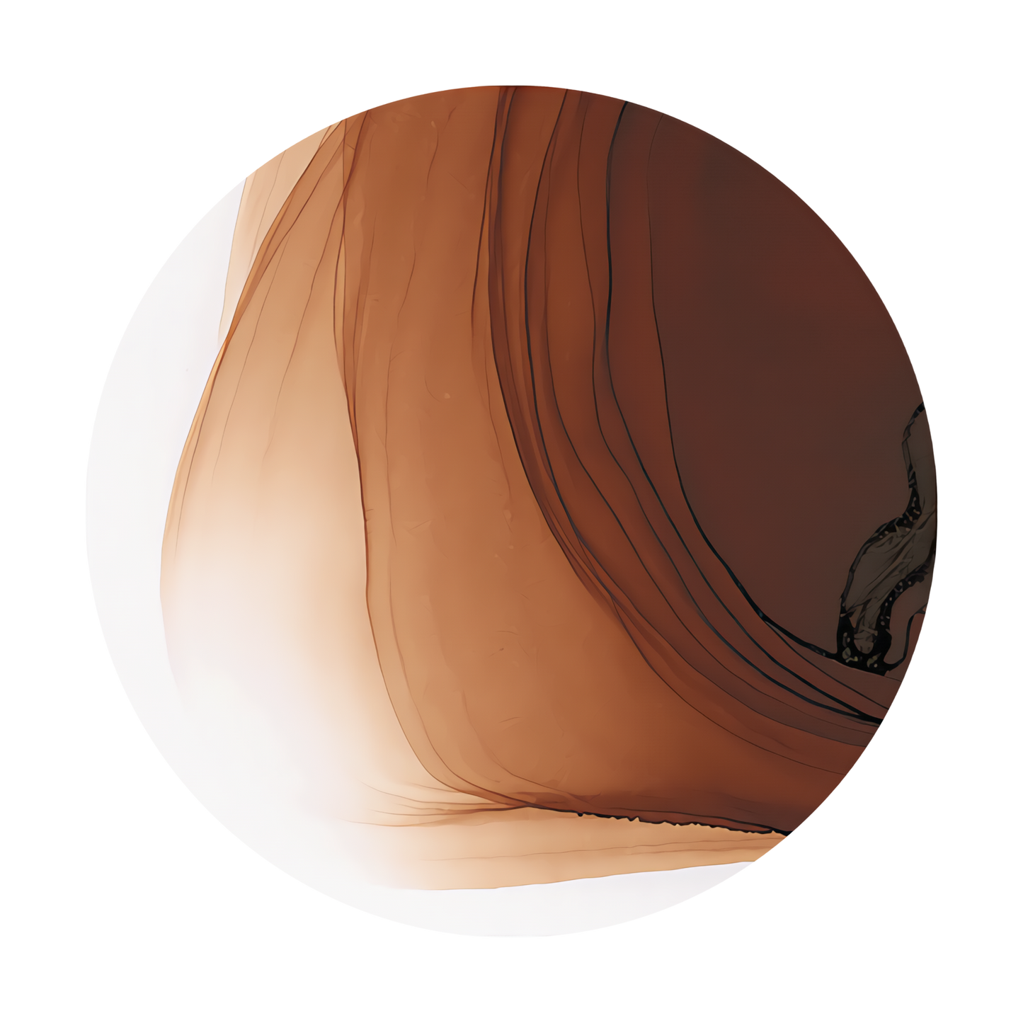Copic Ink Refill E29 Burnt Umber <inline style="float: right; margin-right: 10px; background-color: rgb(136, 86, 56);">&nbsp;&nbsp;&nbsp;&nbsp;&nbsp;&nbsp; </inline>