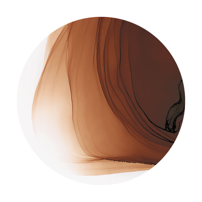 Copic Ink Refill E29 Burnt Umber <inline style="float: right; margin-right: 10px; background-color: rgb(136, 86, 56);">&nbsp;&nbsp;&nbsp;&nbsp;&nbsp;&nbsp; </inline>