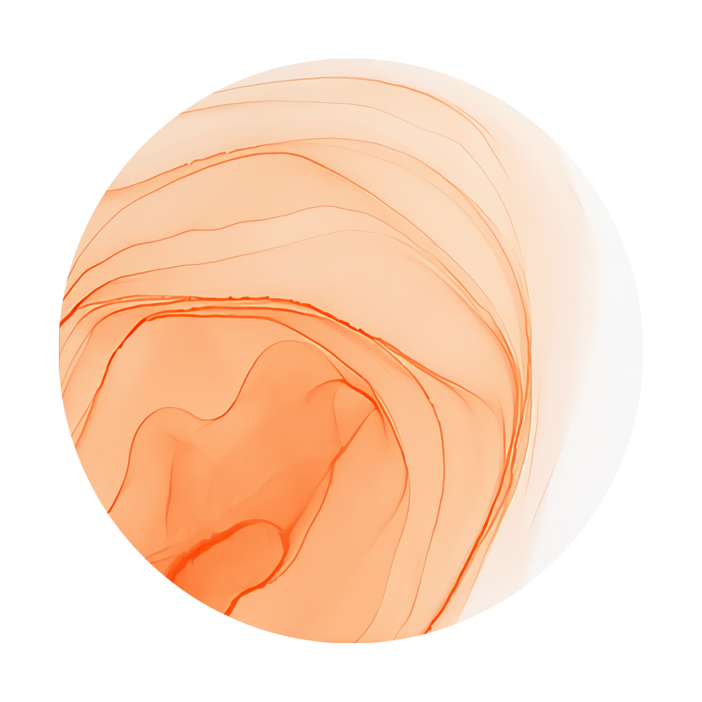 Copic Ink Refill E93 Tea Rose <inline style="float: right; margin-right: 10px; background-color: rgb(253, 209, 184);">&nbsp;&nbsp;&nbsp;&nbsp;&nbsp;&nbsp; </inline>