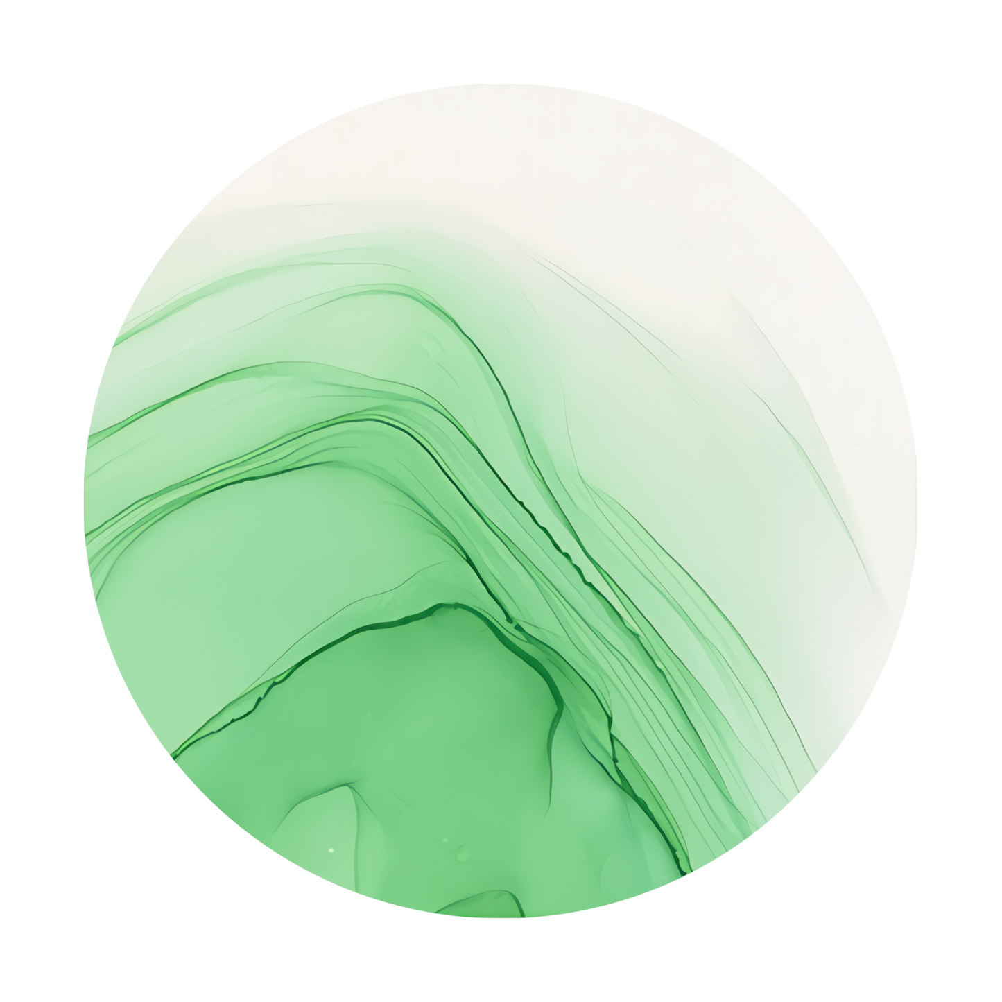 Copic Ink Refill G02 Spectrum Green <inline style="float: right; margin-right: 10px; background-color: rgb(207, 232, 211);">&nbsp;&nbsp;&nbsp;&nbsp;&nbsp;&nbsp; </inline>