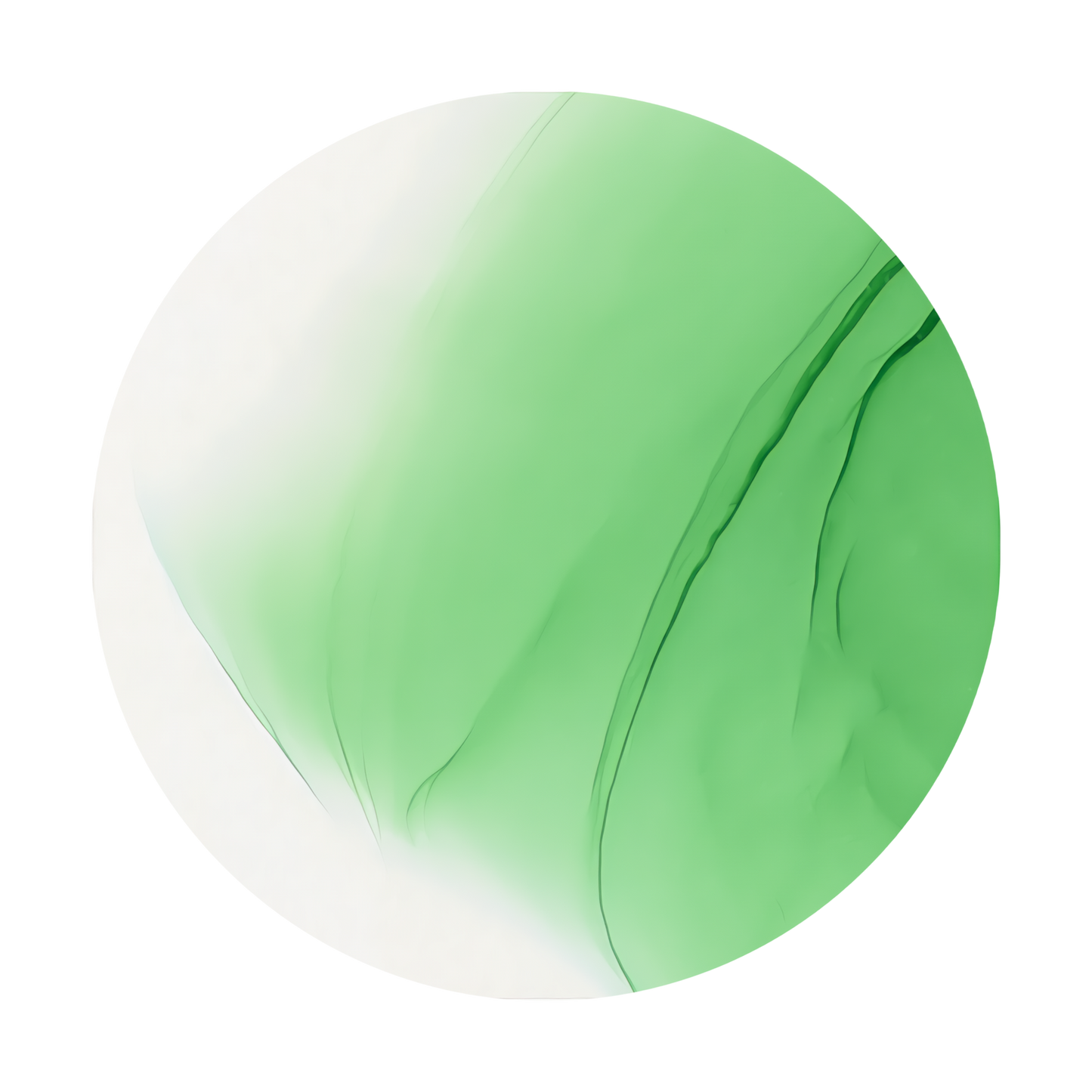 Copic Ink Refill G03 Meadow Green <inline style="float: right; margin-right: 10px; background-color: rgb(147, 205, 181);">&nbsp;&nbsp;&nbsp;&nbsp;&nbsp;&nbsp; </inline>