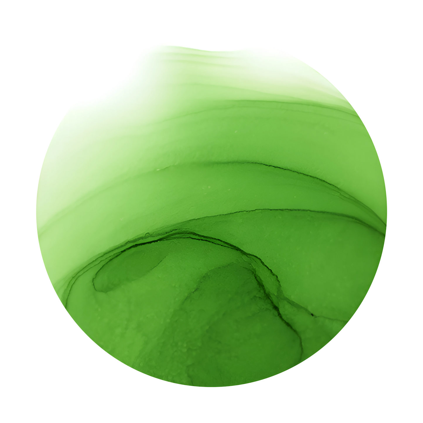 Copic Ink Refill G07 Nile Green <inline style="float: right; margin-right: 10px; background-color: rgb(123, 197, 120);">&nbsp;&nbsp;&nbsp;&nbsp;&nbsp;&nbsp; </inline>