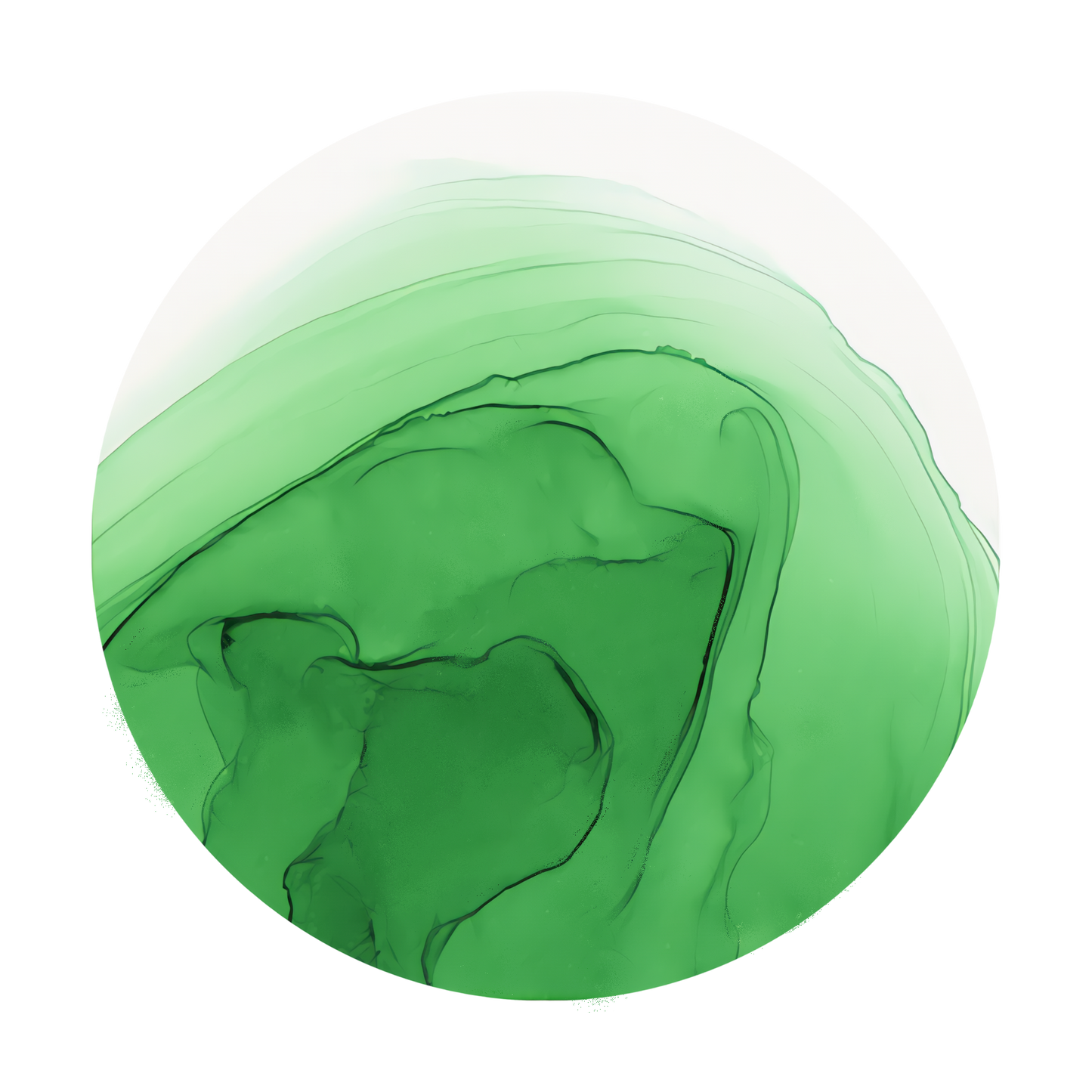 Copic Ink Refill G09 Veronese Green <inline style="float: right; margin-right: 10px; background-color: rgb(113, 186, 101);">&nbsp;&nbsp;&nbsp;&nbsp;&nbsp;&nbsp; </inline>