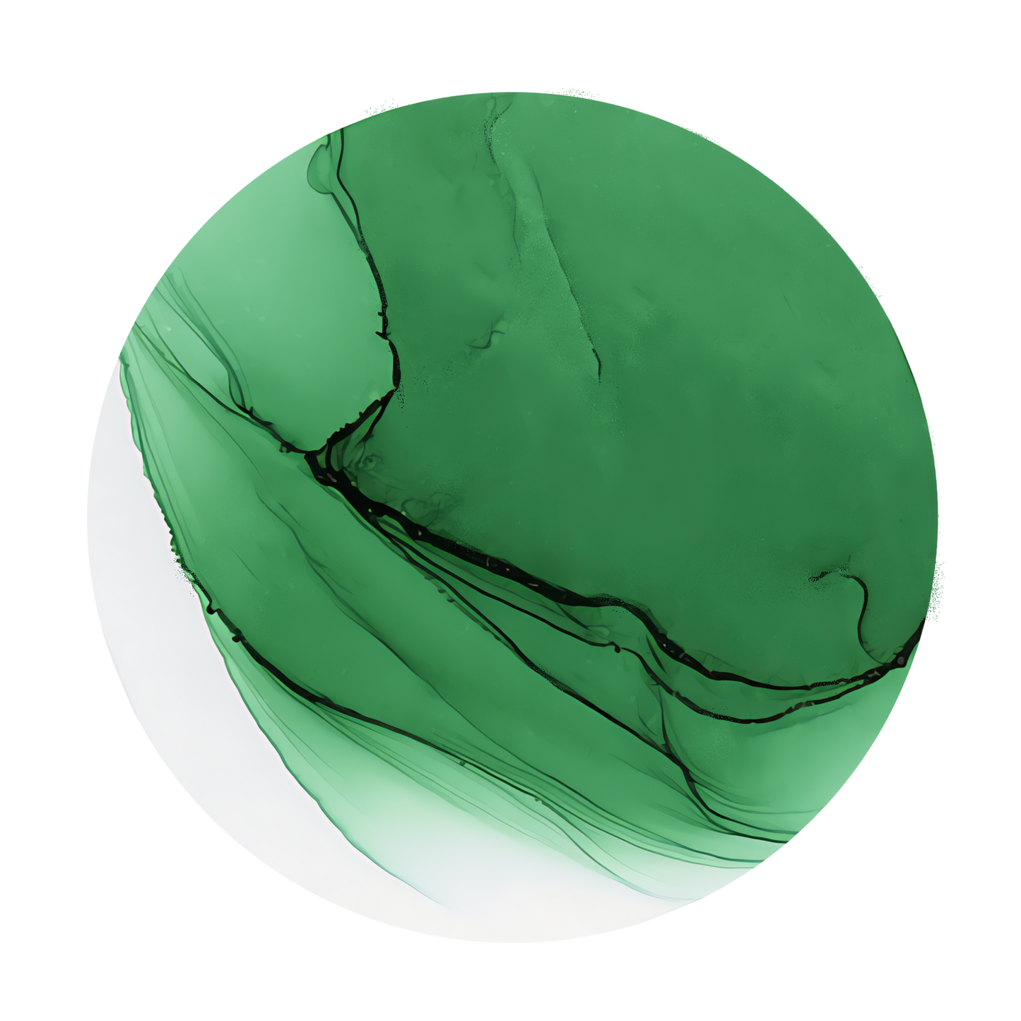 Copic Ink Refill G17 Forest Green <inline style="float: right; margin-right: 10px; background-color: rgb(21, 180, 126);">&nbsp;&nbsp;&nbsp;&nbsp;&nbsp;&nbsp; </inline>