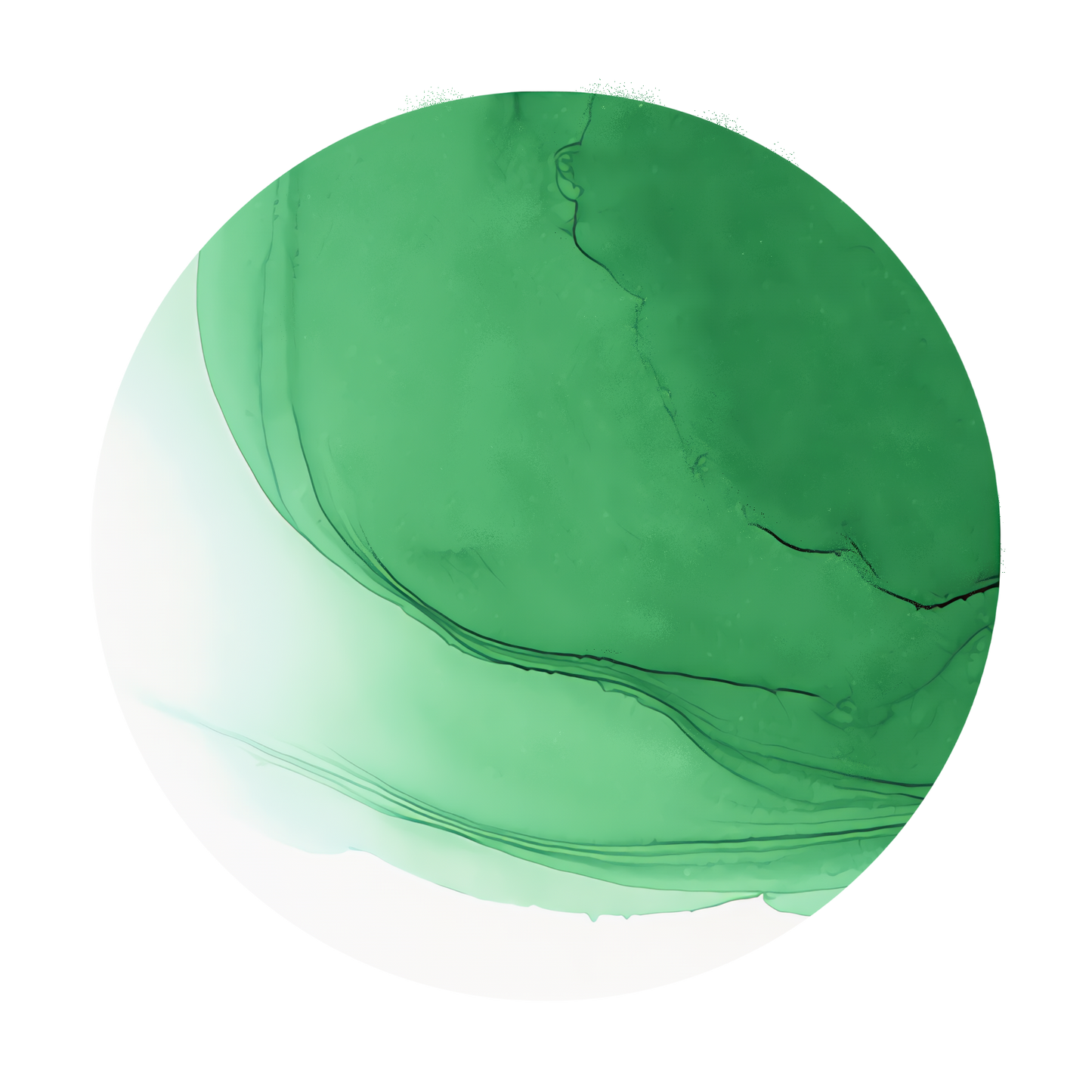 Copic Ink Refill G19 Bright Parrot Green <inline style="float: right; margin-right: 10px; background-color: rgb(49, 174, 128);">&nbsp;&nbsp;&nbsp;&nbsp;&nbsp;&nbsp; </inline>