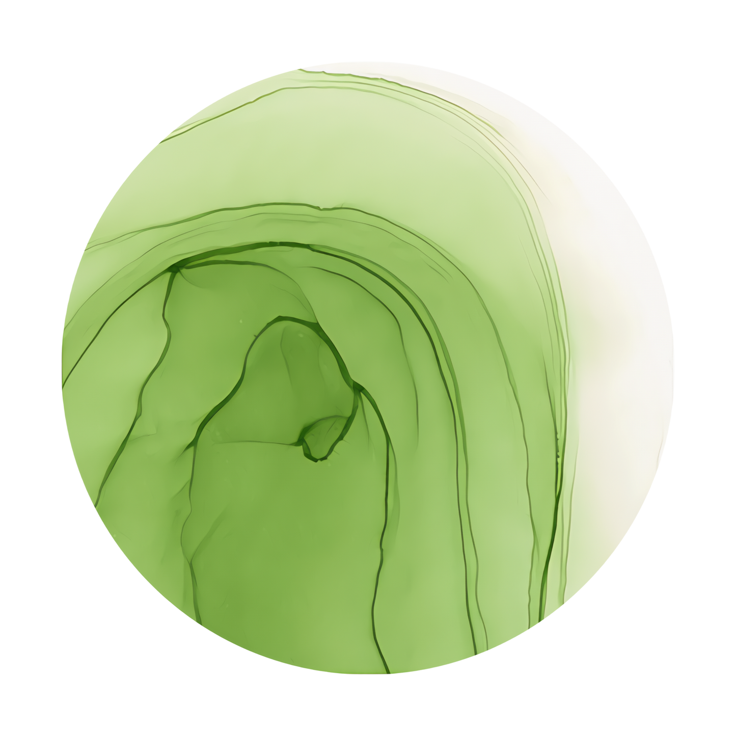 Copic Ink Refill G24 Willow <inline style="float: right; margin-right: 10px; background-color: rgb(189, 219, 170);">&nbsp;&nbsp;&nbsp;&nbsp;&nbsp;&nbsp; </inline>