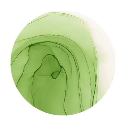 Copic Ink Refill G24 Willow <inline style="float: right; margin-right: 10px; background-color: rgb(189, 219, 170);">&nbsp;&nbsp;&nbsp;&nbsp;&nbsp;&nbsp; </inline>