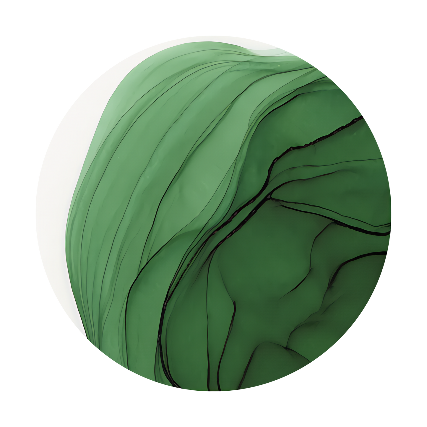 Copic Ink Refill G29 Pine Tree Green <inline style="float: right; margin-right: 10px; background-color: rgb(40, 112, 84);">&nbsp;&nbsp;&nbsp;&nbsp;&nbsp;&nbsp; </inline>