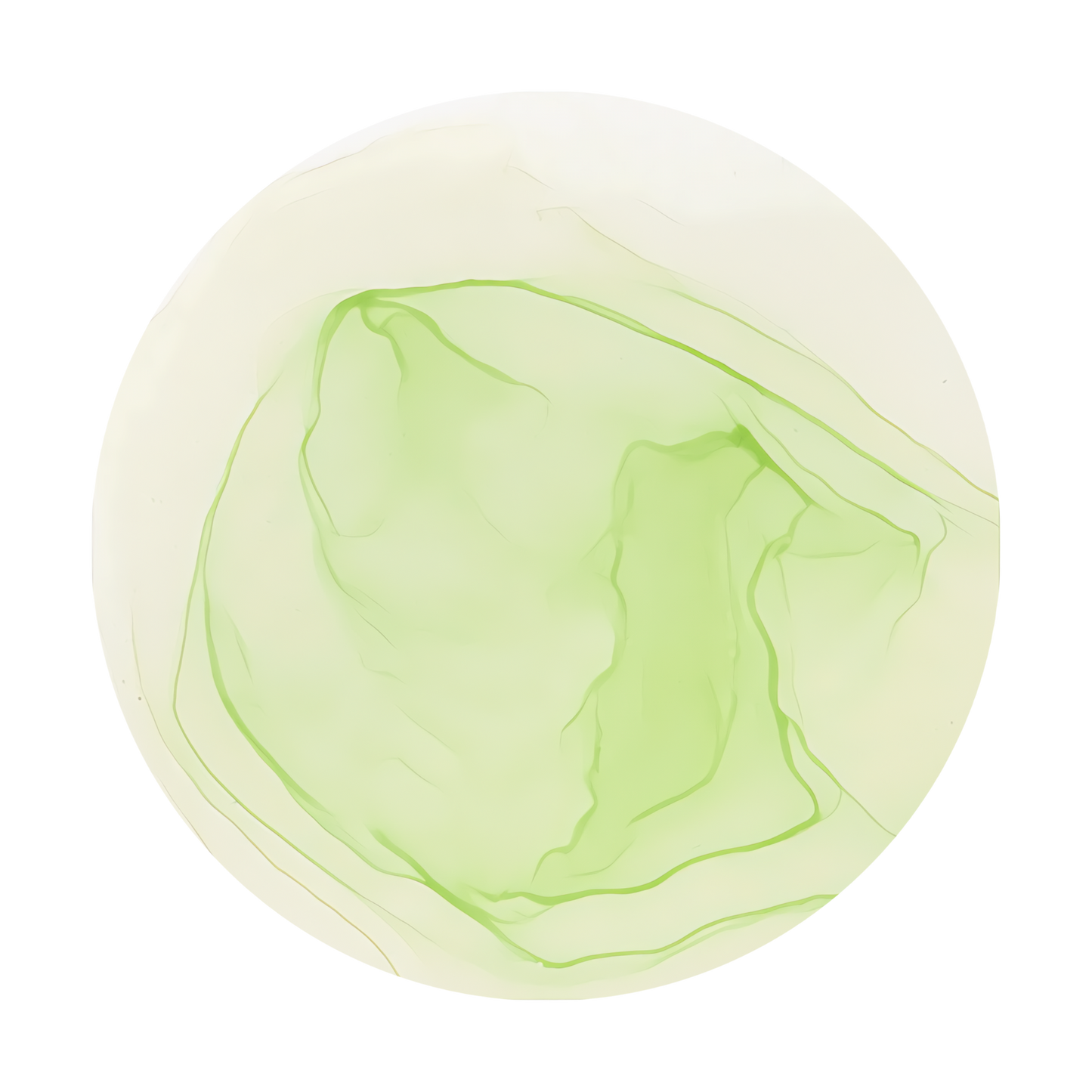 Copic Ink Refill G40 Dim Green <inline style="float: right; margin-right: 10px; background-color: rgb(226, 240, 216);">&nbsp;&nbsp;&nbsp;&nbsp;&nbsp;&nbsp; </inline>