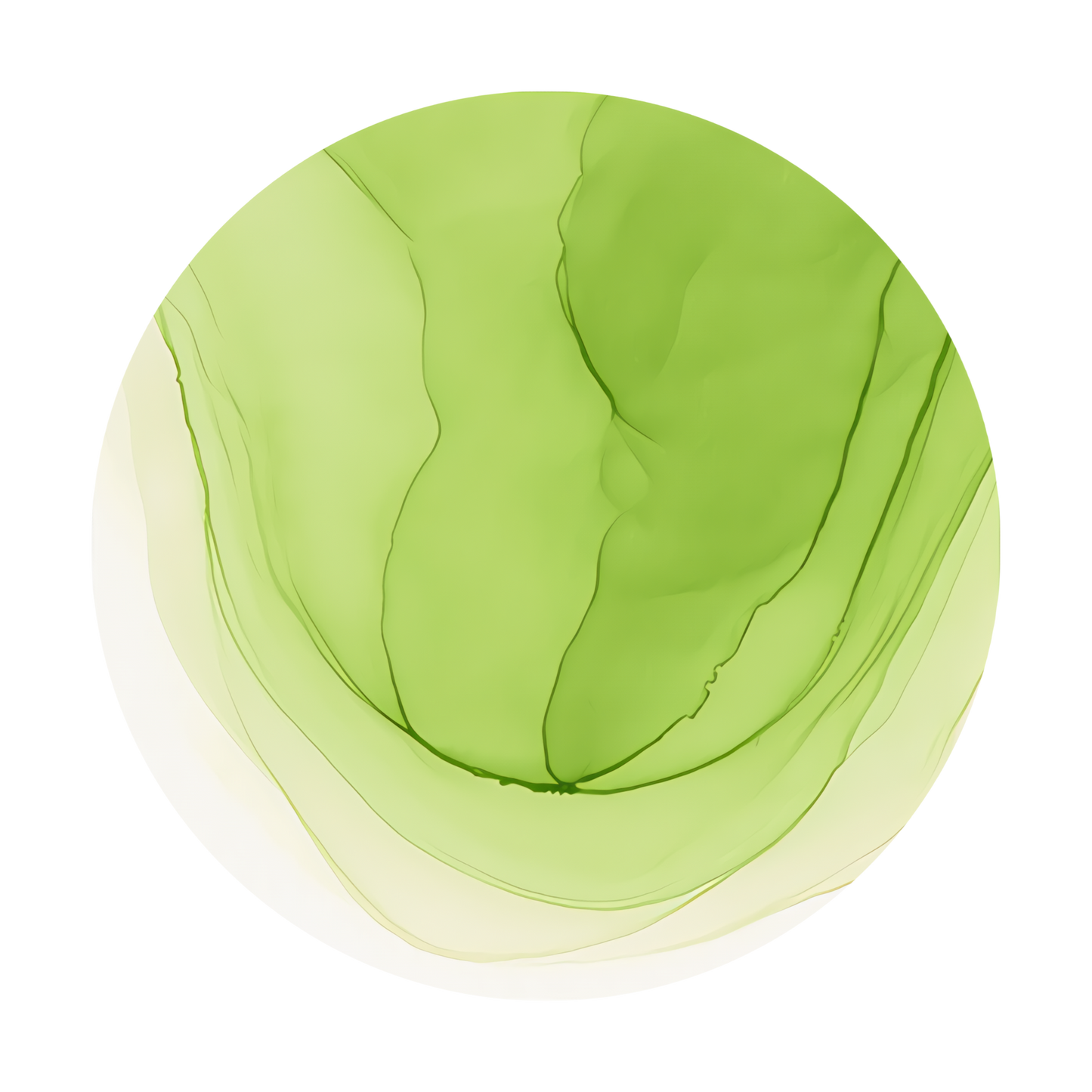 Copic Ink Refill G43 Pistachio <inline style="float: right; margin-right: 10px; background-color: rgb(214, 230, 166);">&nbsp;&nbsp;&nbsp;&nbsp;&nbsp;&nbsp; </inline>