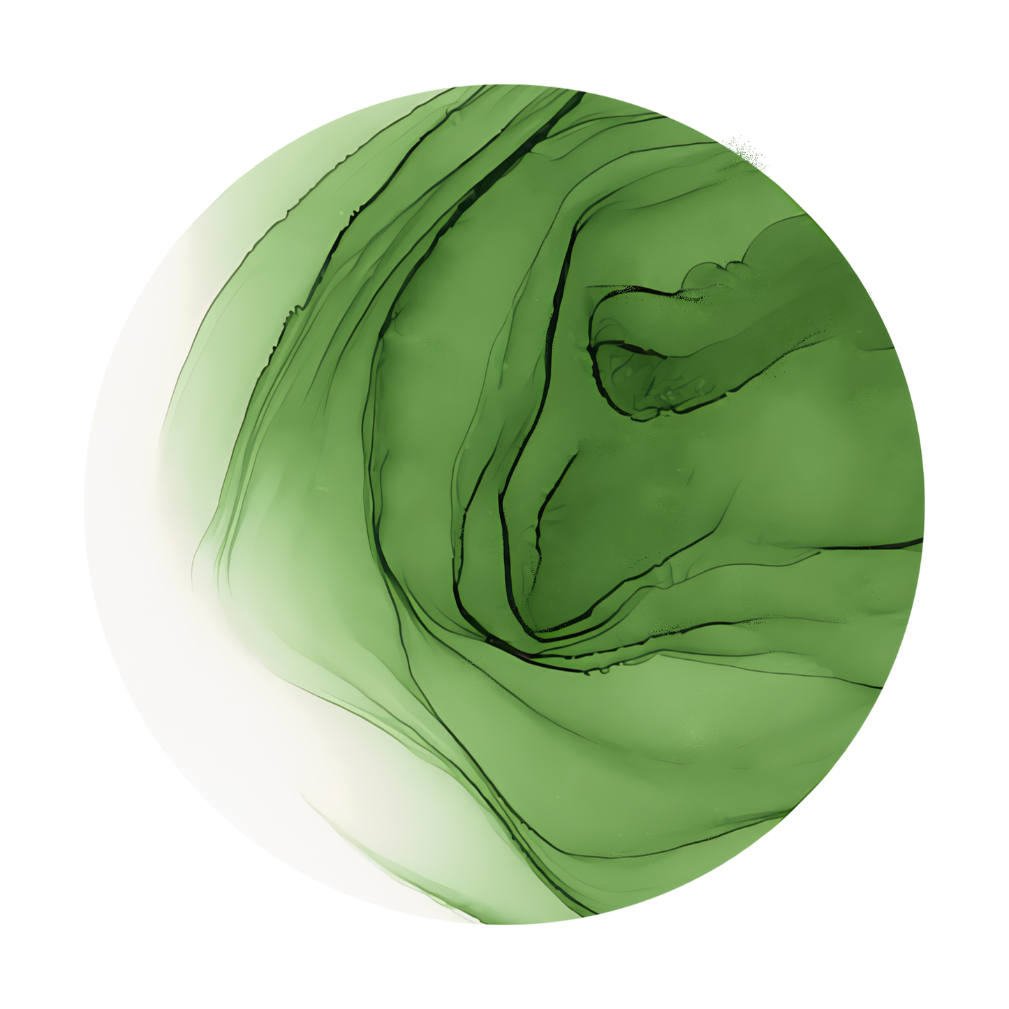 Copic Ink Refill G46 Mistletoe <inline style="float: right; margin-right: 10px; background-color: rgb(88, 156, 115);">&nbsp;&nbsp;&nbsp;&nbsp;&nbsp;&nbsp; </inline>