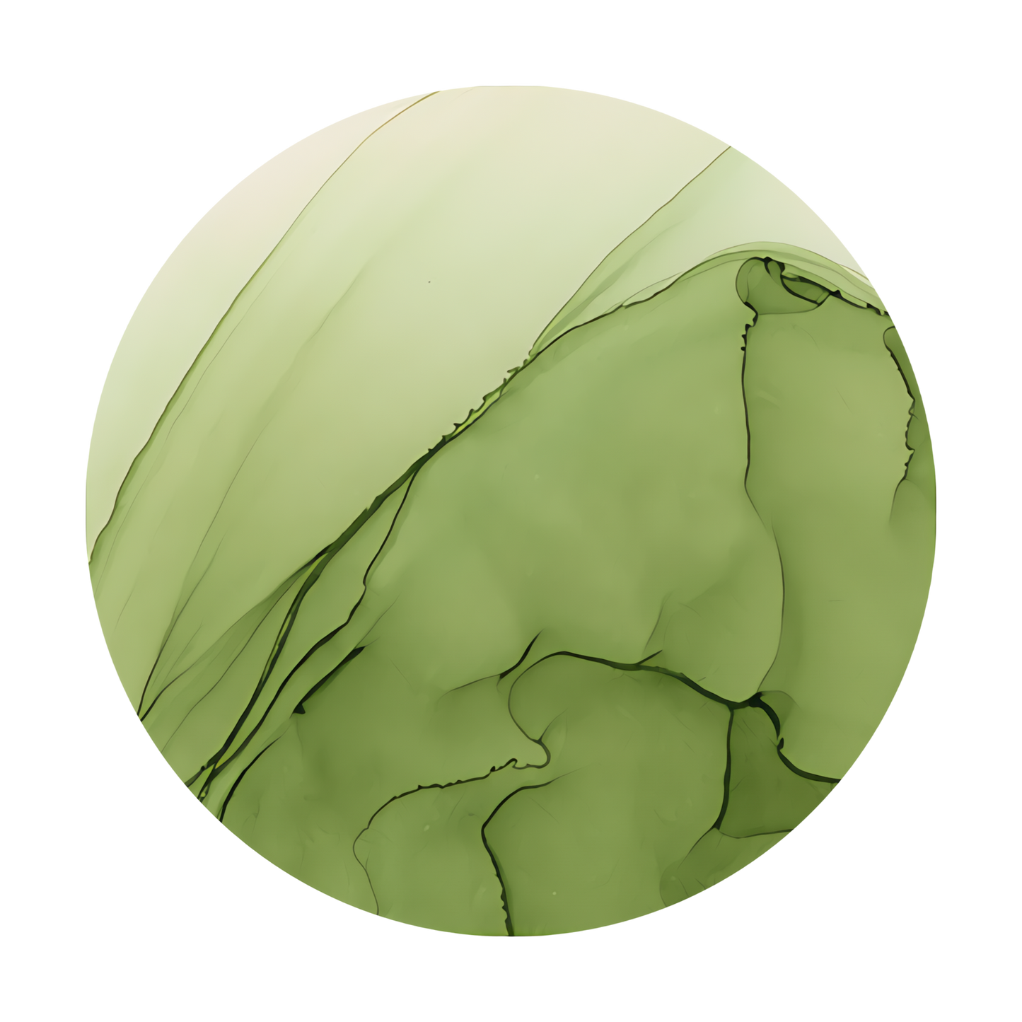 Copic Ink Refill G94 Grayish Olive <inline style="float: right; margin-right: 10px; background-color: rgb(152, 167, 134);">&nbsp;&nbsp;&nbsp;&nbsp;&nbsp;&nbsp; </inline>