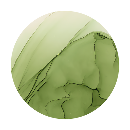 Copic Ink Refill G94 Grayish Olive <inline style="float: right; margin-right: 10px; background-color: rgb(152, 167, 134);">&nbsp;&nbsp;&nbsp;&nbsp;&nbsp;&nbsp; </inline>
