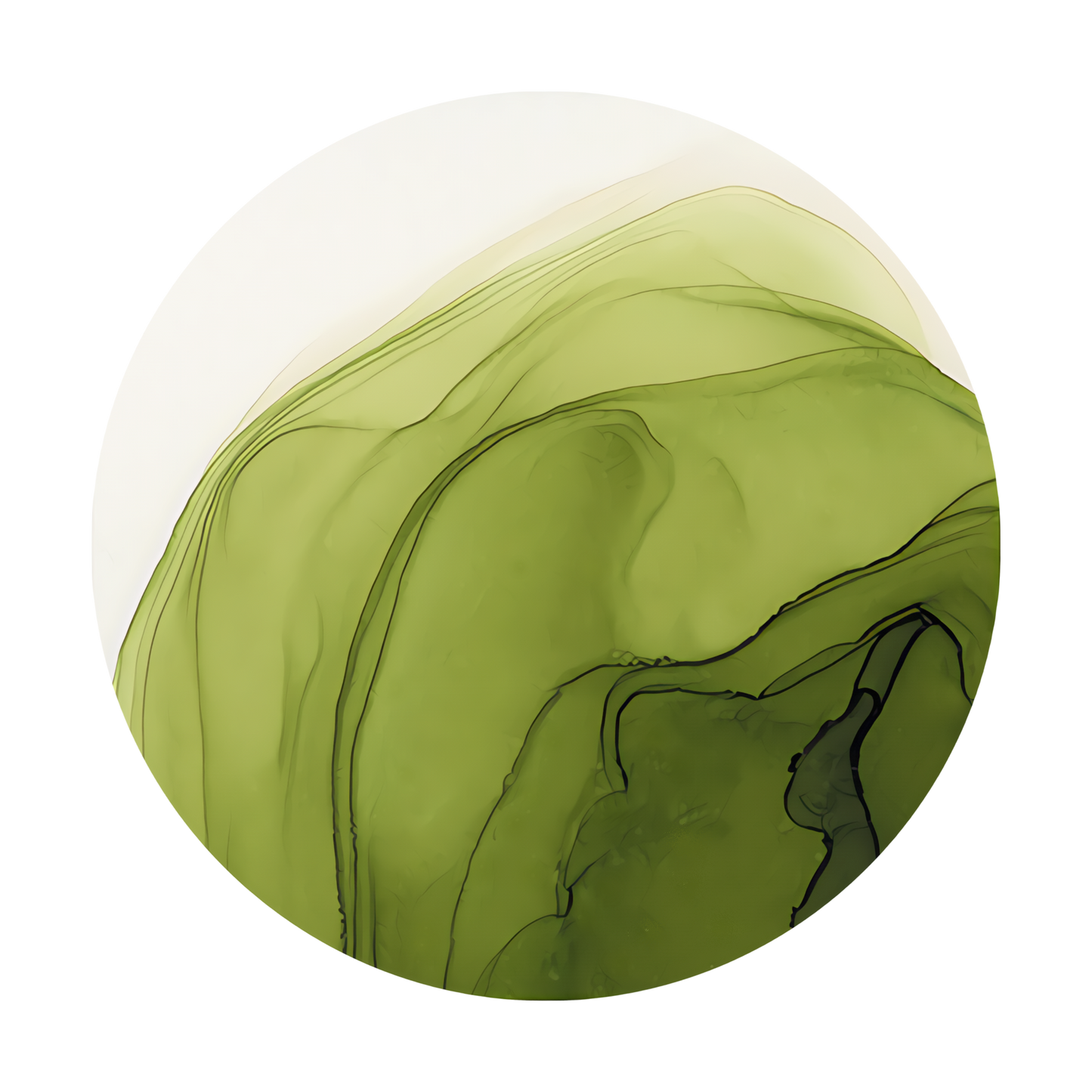 Copic Ink Refill G99 Olive <inline style="float: right; margin-right: 10px; background-color: rgb(95, 126, 58);">&nbsp;&nbsp;&nbsp;&nbsp;&nbsp;&nbsp; </inline>