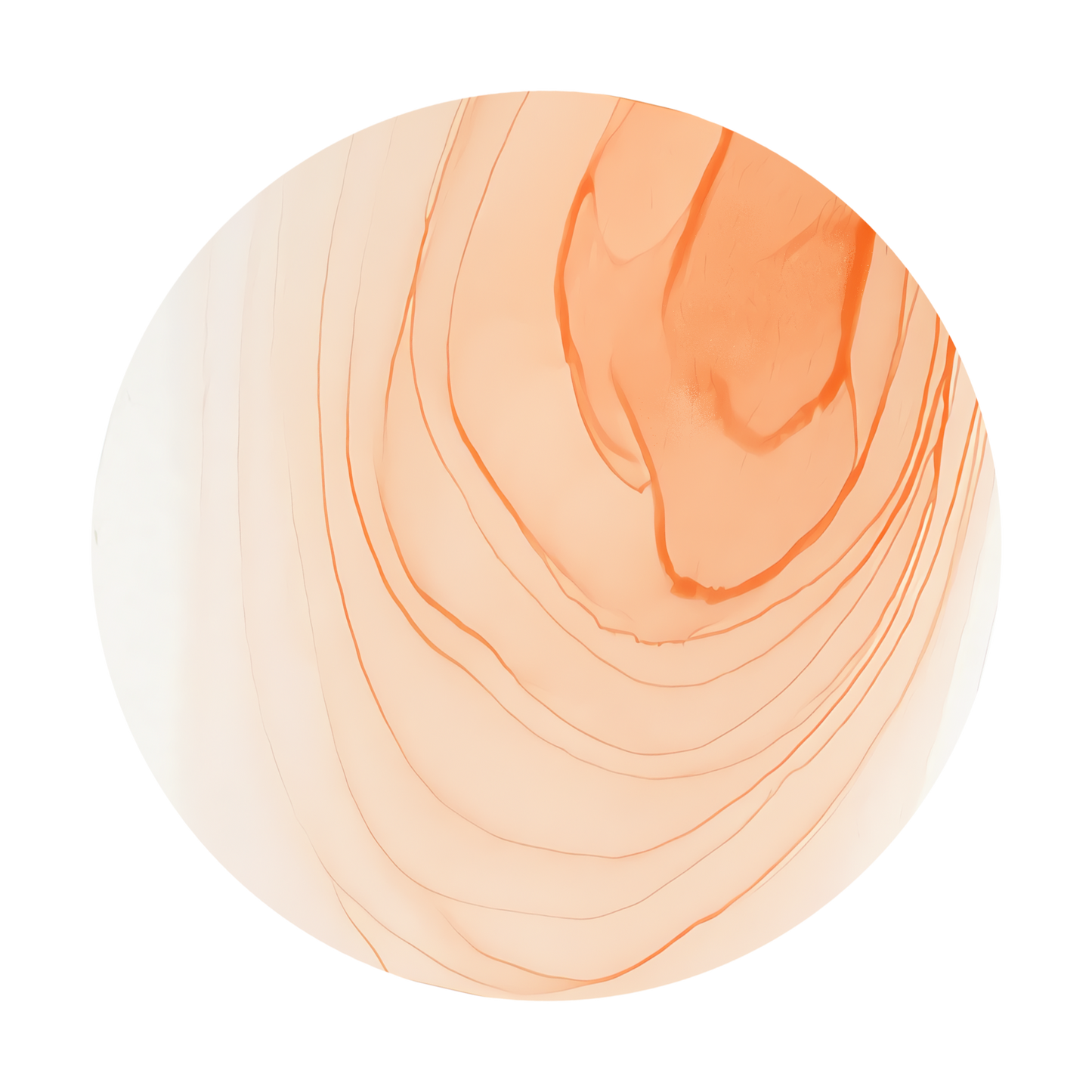 Copic Ink Refill R01 Pinkish Vanilla <inline style="float: right; margin-right: 10px; background-color: rgb(250, 221, 207);">&nbsp;&nbsp;&nbsp;&nbsp;&nbsp;&nbsp; </inline>
