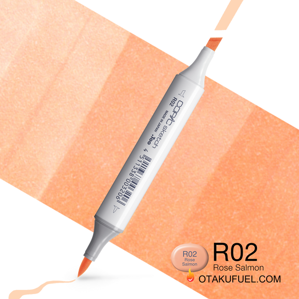 Copic Sketch R02 Rose Salmon Marker <inline style="float: right; margin-right: 10px; background-color: rgb(253, 211, 199);">&nbsp;&nbsp;&nbsp;&nbsp;&nbsp;&nbsp; </inline>