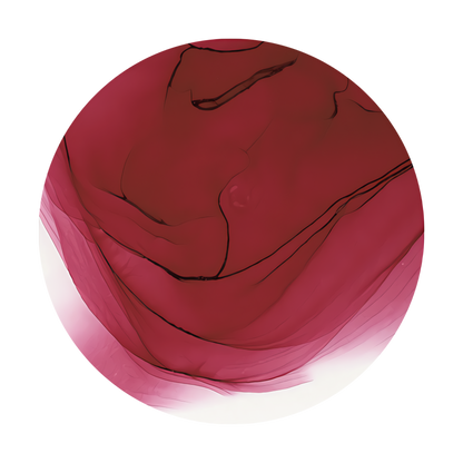 Copic Ink Refill R39 Garnet <inline style="float: right; margin-right: 10px; background-color: rgb(184, 72, 111);">&nbsp;&nbsp;&nbsp;&nbsp;&nbsp;&nbsp; </inline>