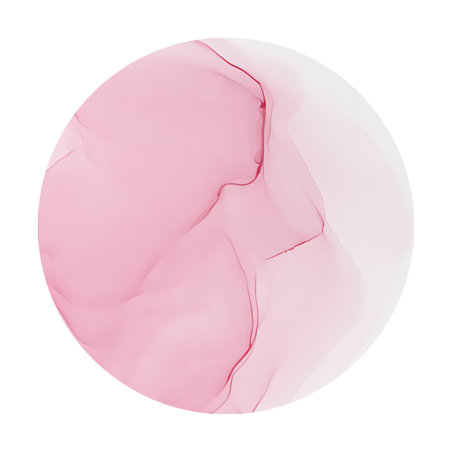 Copic Ink Refill R81 Rose Pink <inline style="float: right; margin-right: 10px; background-color: rgb(235, 196, 204);">&nbsp;&nbsp;&nbsp;&nbsp;&nbsp;&nbsp; </inline>