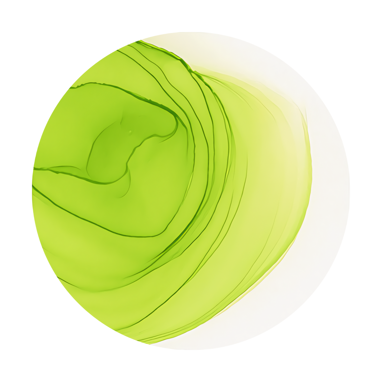 Copic Ink Refill YG03 Yellow Green <inline style="float: right; margin-right: 10px; background-color: rgb(224,235,169);">&nbsp;&nbsp;&nbsp;&nbsp;&nbsp;&nbsp; </inline>