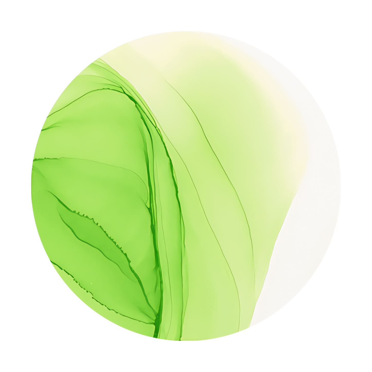 Copic Ink Refill YG06 Yellowish Green <inline style="float: right; margin-right: 10px; background-color: rgb(196,226,150);">&nbsp;&nbsp;&nbsp;&nbsp;&nbsp;&nbsp; </inline>