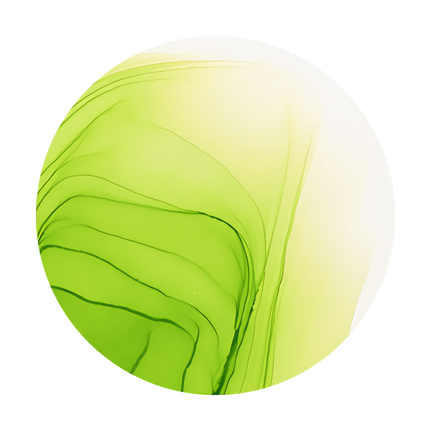 Copic Ink Refill YG25 Celadon Green <inline style="float: right; margin-right: 10px; background-color: rgb(200, 219, 120);">&nbsp;&nbsp;&nbsp;&nbsp;&nbsp;&nbsp; </inline>