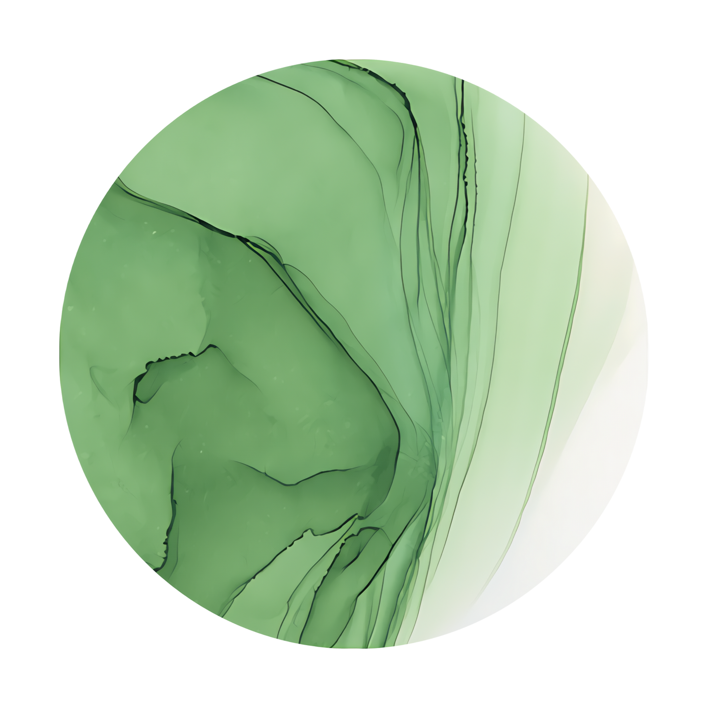 Copic Ink Refill YG45 Cobalt Green <inline style="float: right; margin-right: 10px; background-color: rgb(174, 214, 173);">&nbsp;&nbsp;&nbsp;&nbsp;&nbsp;&nbsp; </inline>
