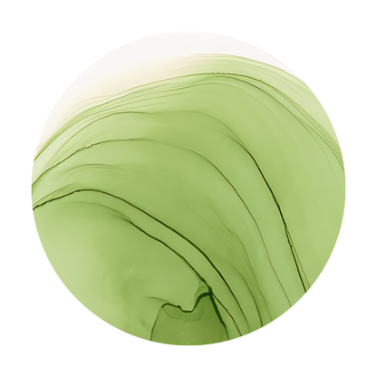 Copic Ink Refill YG63 Pea Green <inline style="float: right; margin-right: 10px; background-color: rgb(161, 203, 163);">&nbsp;&nbsp;&nbsp;&nbsp;&nbsp;&nbsp; </inline>