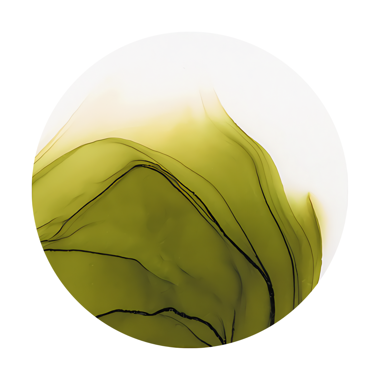 Copic Ink Refill YG97 Spanish Olive <inline style="float: right; margin-right: 10px; background-color: rgb(95, 126, 58);">&nbsp;&nbsp;&nbsp;&nbsp;&nbsp;&nbsp; </inline>