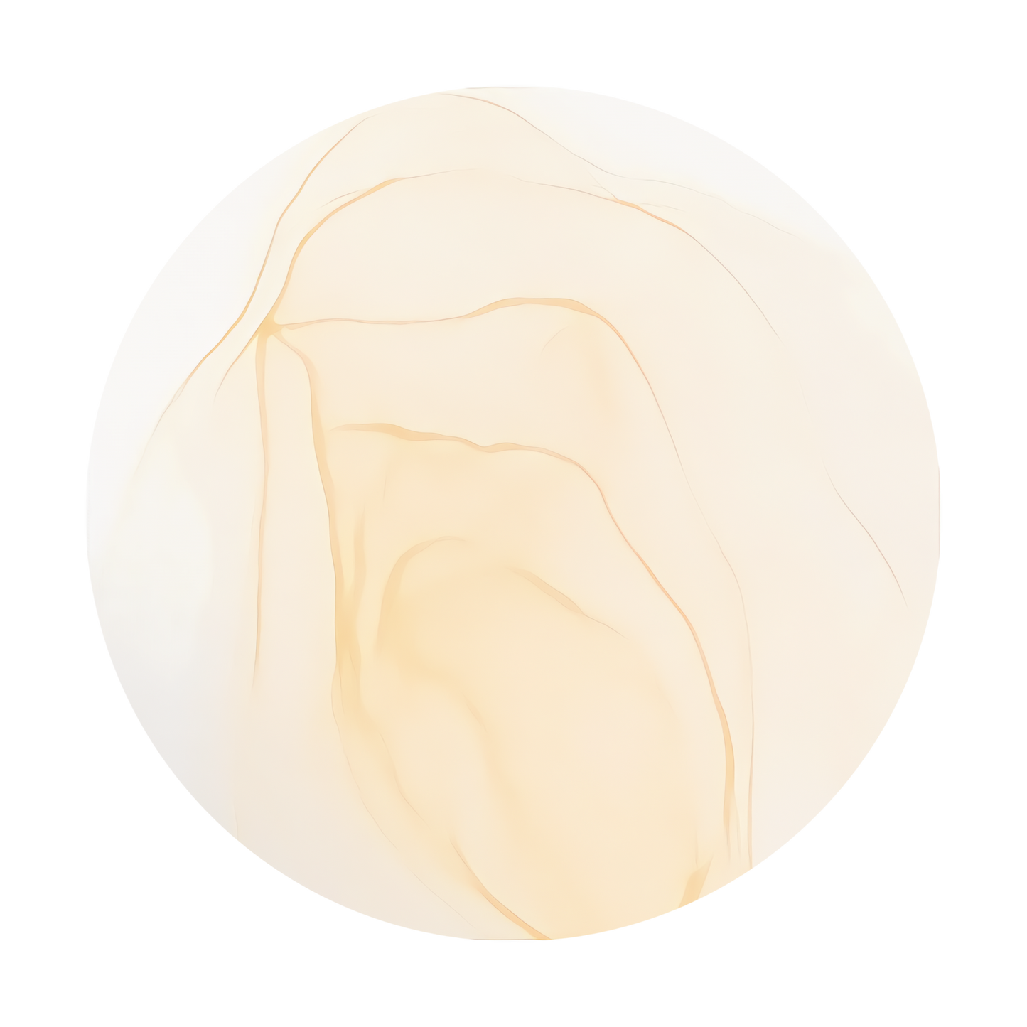 Copic Ink Refill YR0000 Pale Chiffon <inline style="float: right; margin-right: 10px; background-color: rgb(252, 232, 210);">&nbsp;&nbsp;&nbsp;&nbsp;&nbsp;&nbsp; </inline>