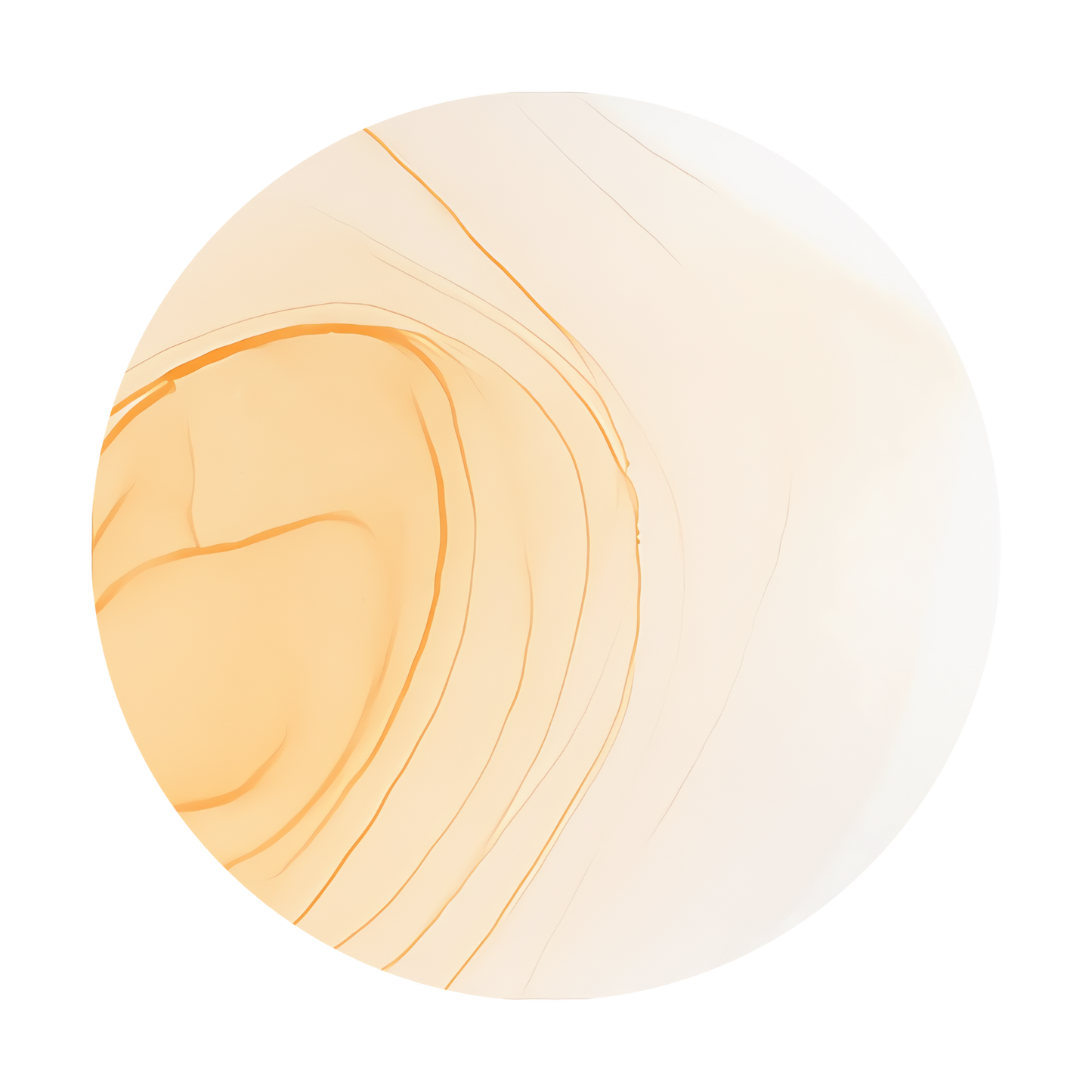 Copic Ink Refill YR000 Silk <inline style="float: right; margin-right: 10px; background-color: rgb(252, 232, 210);">&nbsp;&nbsp;&nbsp;&nbsp;&nbsp;&nbsp; </inline>