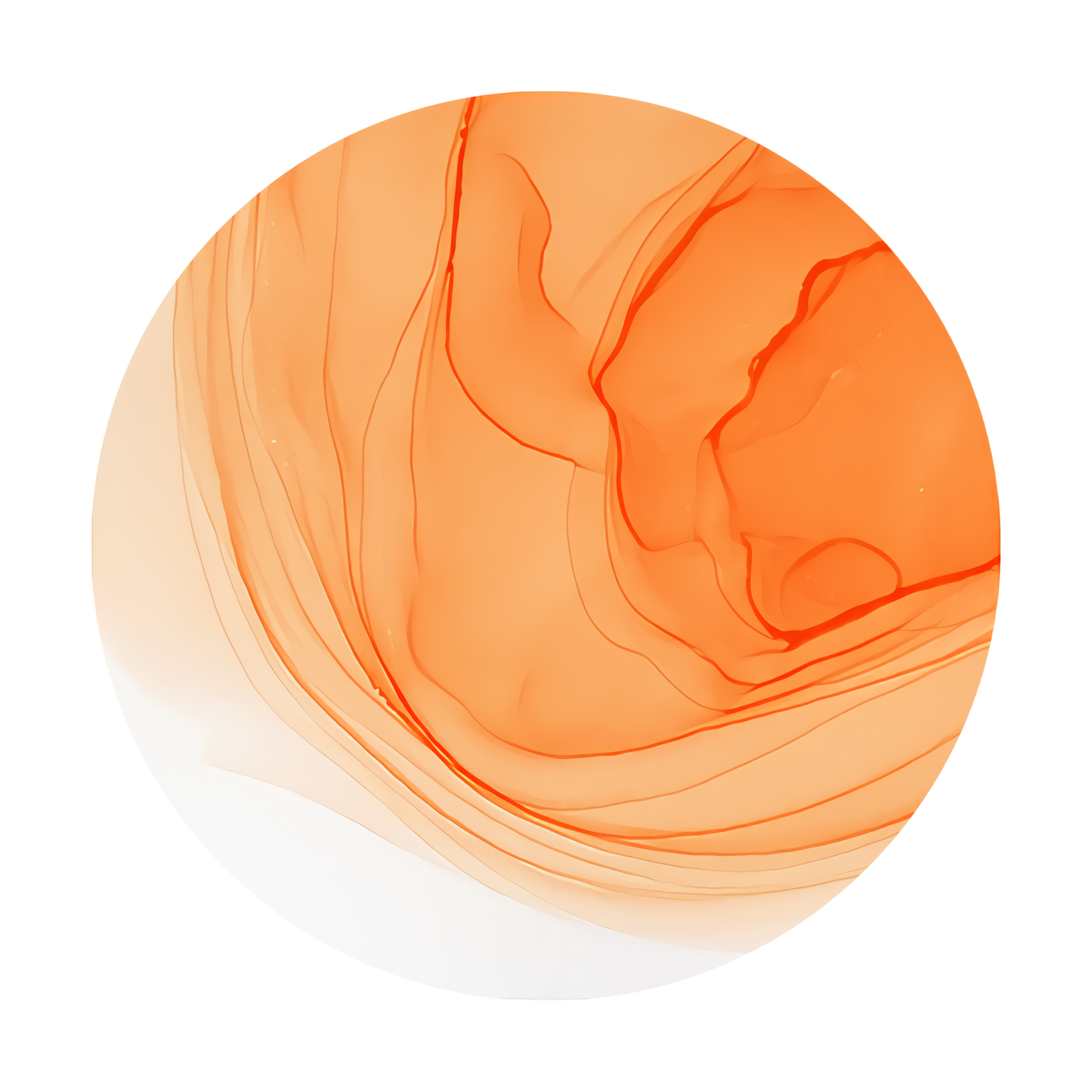 Copic Ink Refill YR02 Light Orange <inline style="float: right; margin-right: 10px; background-color: rgb(253, 202, 149);">&nbsp;&nbsp;&nbsp;&nbsp;&nbsp;&nbsp; </inline>