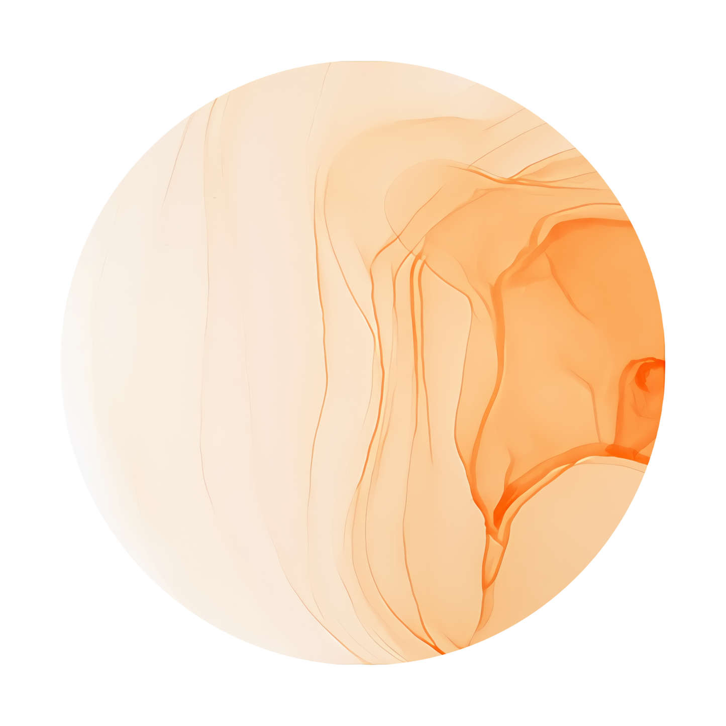 Copic Ink Refill YR61 Spring Orange <inline style="float: right; margin-right: 10px; background-color: rgb(254,218,196);">&nbsp;&nbsp;&nbsp;&nbsp;&nbsp;&nbsp; </inline>