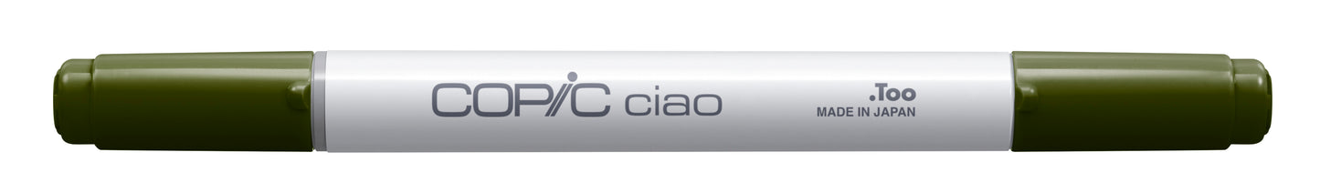 Copic Ciao BG96 Bush <inline style="float: right; margin-right: 10px; background-color: rgb(130, 161, 145);">&nbsp;&nbsp;&nbsp;&nbsp;&nbsp;&nbsp; </inline>