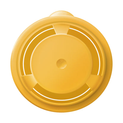 Copic Ciao Y17 Golden Yellow <inline style="float: right; margin-right: 10px; background-color: rgb(254,225,85);">&nbsp;&nbsp;&nbsp;&nbsp;&nbsp;&nbsp; </inline>