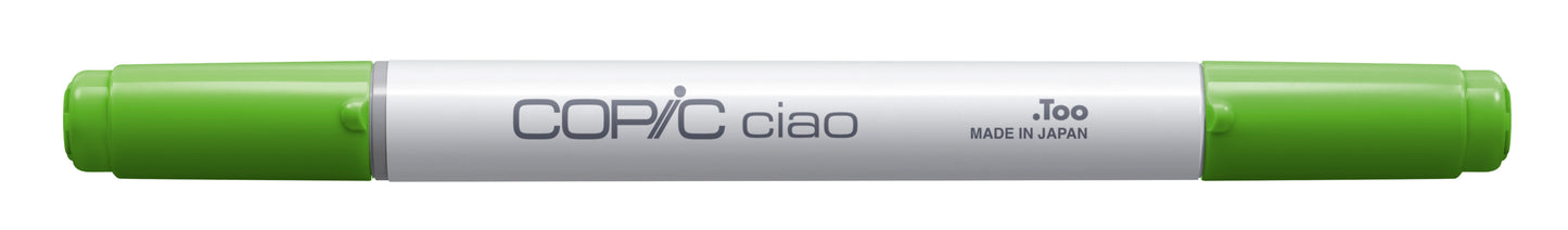 Copic Ciao G14 Apple Green <inline style="float: right; margin-right: 10px; background-color: rgb(151, 207, 144);">&nbsp;&nbsp;&nbsp;&nbsp;&nbsp;&nbsp; </inline>
