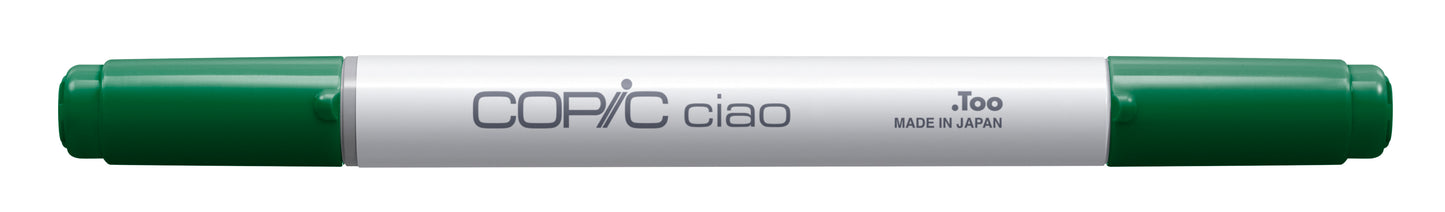 Copic Ciao G17 Forest Green <inline style="float: right; margin-right: 10px; background-color: rgb(21, 180, 126);">&nbsp;&nbsp;&nbsp;&nbsp;&nbsp;&nbsp; </inline>