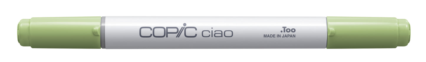 Copic Ciao G82 Spring Dim Green <inline style="float: right; margin-right: 10px; background-color: rgb(226, 240, 216);">&nbsp;&nbsp;&nbsp;&nbsp;&nbsp;&nbsp; </inline>