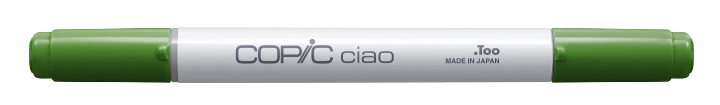 Copic Ciao YG17 Grass Green <inline style="float: right; margin-right: 10px; background-color: rgb(105, 182, 88);">&nbsp;&nbsp;&nbsp;&nbsp;&nbsp;&nbsp; </inline>