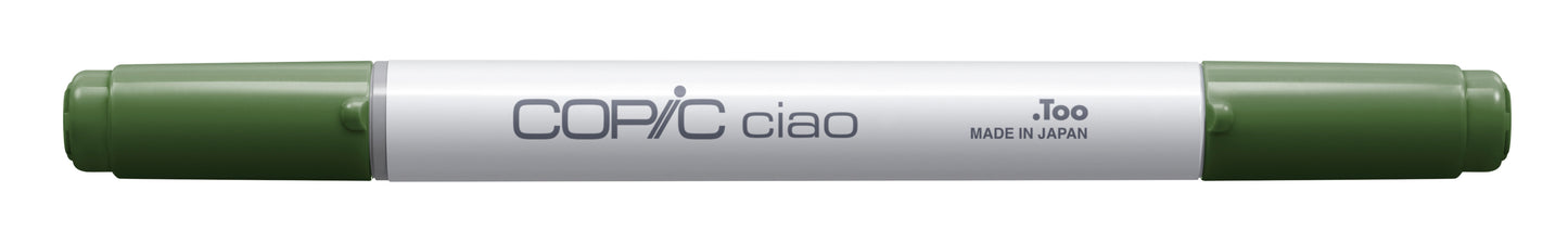 Copic Ciao YG67 Moss <inline style="float: right; margin-right: 10px; background-color: rgb(129, 191, 140);">&nbsp;&nbsp;&nbsp;&nbsp;&nbsp;&nbsp; </inline>
