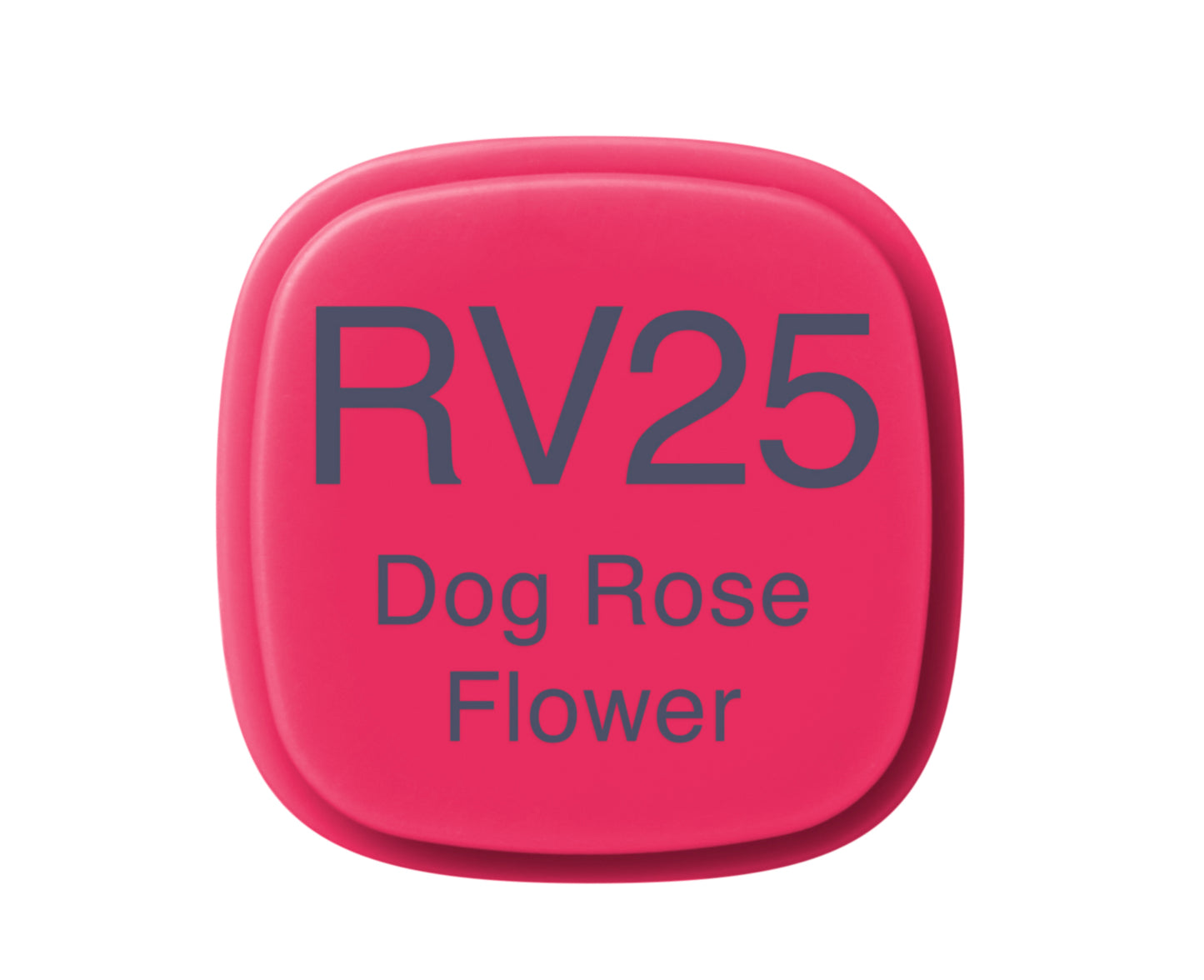 RV25-C Dog Rose Flower CLASSIC Copic Marker <inline style="float: right; margin-right: 10px; background-color: rgb(230, 140, 176);">&nbsp;&nbsp;&nbsp;&nbsp;&nbsp;&nbsp; </inline>