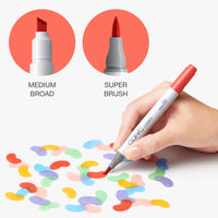 All Individual Copic Ciao Markers